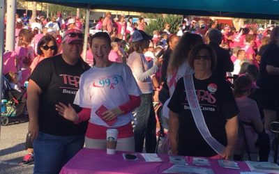 Making Strides Against Breast Cancer Brevard Walk 2017