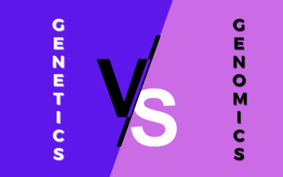 Genetics vs Genomics: What’s the Difference?