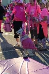 Making Strides Against Breast Cancer Brevard Walk