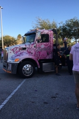 Making Strides Against Breast Cancer Brevard Walk