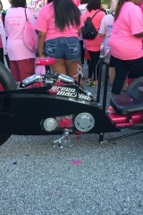 Making Strides Against Breast Cancer Brevard Walk