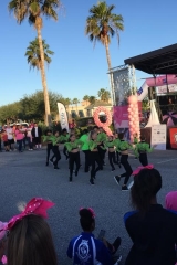 Making Strides Against Breast Cancer Brevard Walk